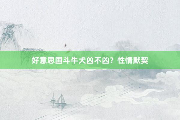 好意思国斗牛犬凶不凶？性情默契